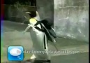 Japonya'da alışverişe çıkan penguen