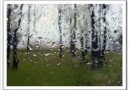 Jose Feliciano...Listen To The Falling Rain (H.S)