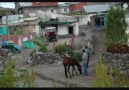 Kağızman OLuklu KöYü HaLayı ve Köy Resimleri