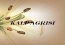 KALP AGRISI-JENERİK [HQ]