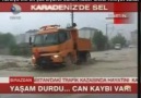 Karadeniz'de SeL