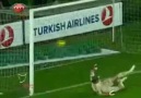 Kartal Ava Çıktı...! GE-Lİ-YO-RUZ...!