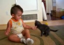 Kedi vs Bebek :) [HQ]