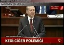 Kediye ciğer emanet edilmez bunlara iktidar verilmez!!