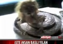 Kelimelerin Kifayetsiz Kaldığı Yerdeyiz =)