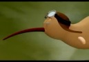 Kiwi.Sadece Bir kereliğine Uçmak İçin.