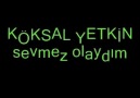 Köksal Yetkin - Sevmez Olaydım