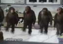 KoLBasTı BöyLe Oynanır xD