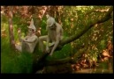 Komik klip bu çocukların hepsi gay:) izle ve paylaş [HQ]