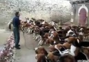 100 köpek aynı anda nasıl beslenir?