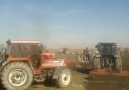 köy tarlası karakaya kyü
