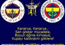 Kupayı Kaldıralım Göklere! - www.GENCFB.org [HQ]