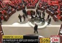 Kurbağa [İsmaiL ErdoğaN]