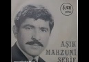 Mahsuni Şerif - Bu Yıl Benim Yeşil Bağım Kurudu