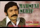 mahsuni şerif-sarhoş