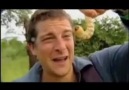 Man vs. Wild-Eating Giant Larva[YouTube 3.5 Million Watch]