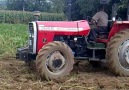 Massey Ferguson 266G 4x4 [HQ]