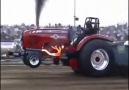 Massey Ferguson Pulling [HOBO]