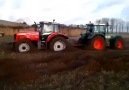 Massey Ferguson vs Fendt