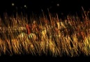 21 Mayıs 1864 - Büyük Çerkes Sürgünü - www.21mayis1864.com [HQ]