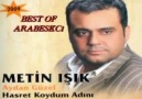 Metin Işık - Hasret Koydum Adını