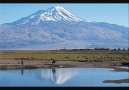 Min Biqeînin - Mezrabotan