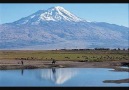 Min Biqeînin - Mezrabotan