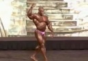 mr.olympia 2000