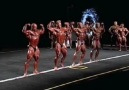 Mr.Olympia 2010 Yarışma [SalihliVG]