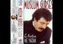 Müslüm gürses - Ne yazar