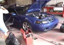 Mustang Cobra Dyno Performance [HQ]