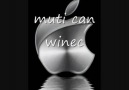 mutican roman winec