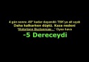 NEDEN ÖLDÜLER?