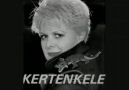 Neşe Karaböcek - Kertenkele