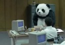 Never say no to Panda