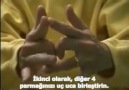Niçin yüzük parmağı dördüncü parmaktır?