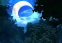Nightwish - Moondance [HQ]