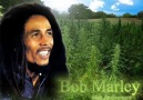 NO WOMEN, NO CRY --- BOB  MARLEY [HQ]