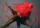 Numan Hadi - Dönmüyor