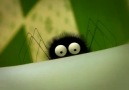 Obsesif Örümcek :))