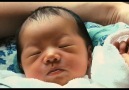 Official Babies Trailer [HD]