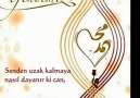 ** O GECE SENDİN GELEN YA HZ. MUHAMMED **