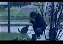 Oğuz Boran - İstanbul Acılar Kraliçesi