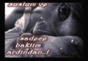 Oğuz Yılmaz - Düğününde Ağladım