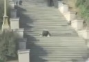 ÖL ULAN ARTIK xDxD[KESİN İZLEYİN ! SÜPER]