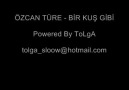 ÖZCAN TÜRE / BİR KUŞ GİBİ