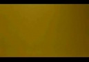 ÖZGÜRLÜK ÇİÇEĞİMSİN...( HALİT BİLGİÇ)