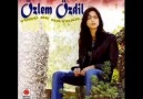 Özlem Özdil Kevser Irmağı