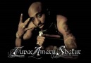 2pac ft Akon - N.I.G.G.A