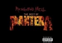 Pantera-Fucking Hostile